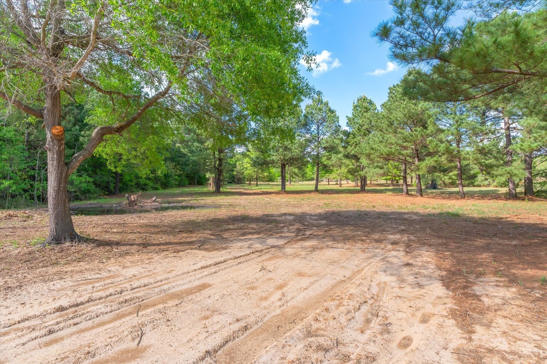 7.64 acres in Wood County - photo 9
