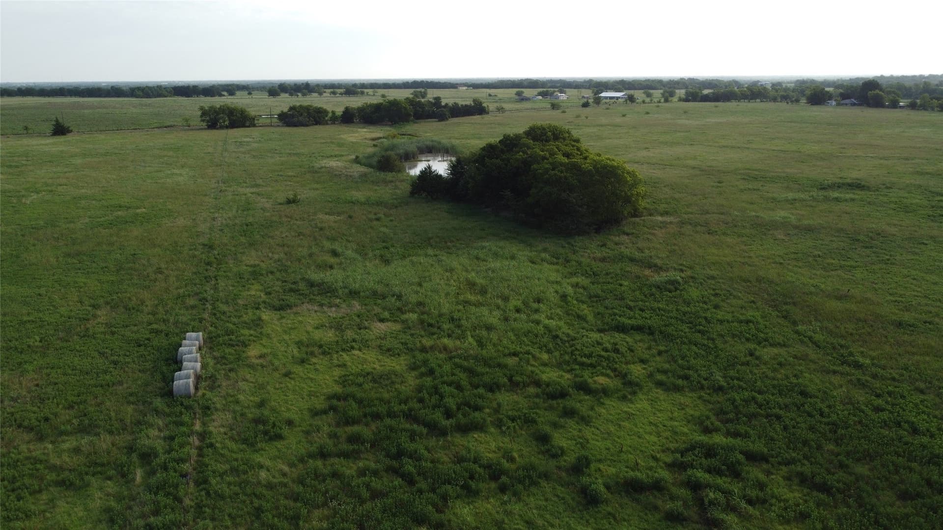 43.01 acres in Hunt County gallery image 4