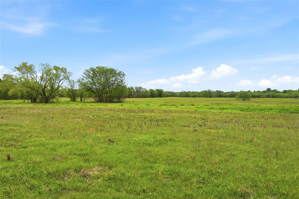 19.16 acres in Grayson County gallery image 2