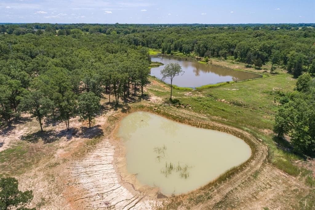 16.7 acres in Van Zandt County gallery image 4