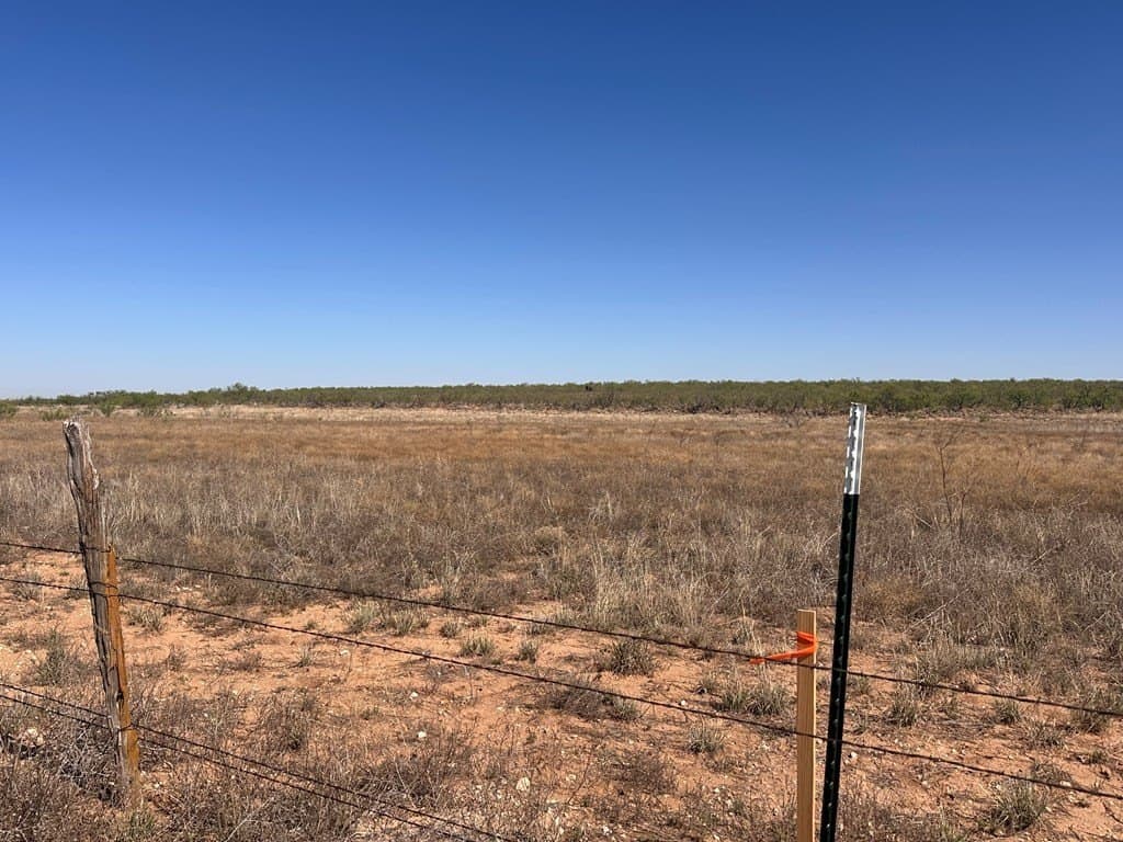 38.79 acres in Gaines County gallery image 3
