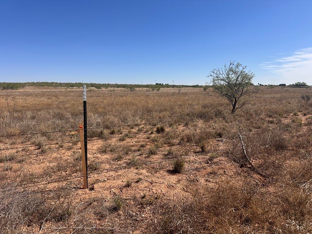 38.79 acres in Gaines County gallery image 2