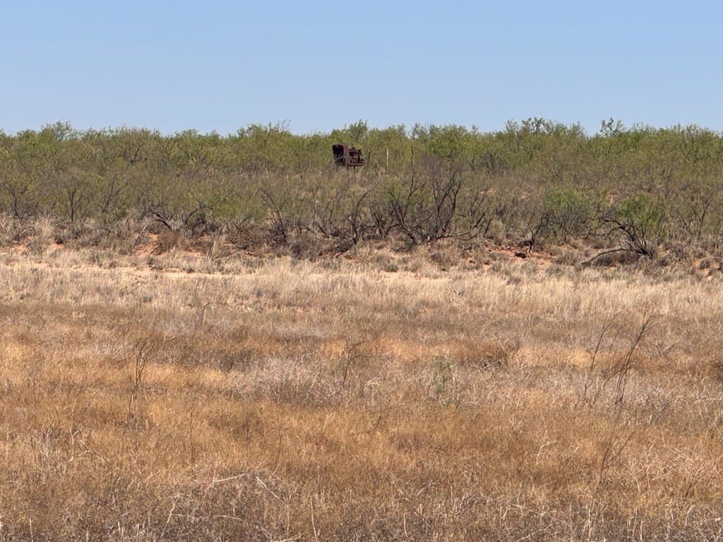 38.79 acres in Gaines County gallery image 4