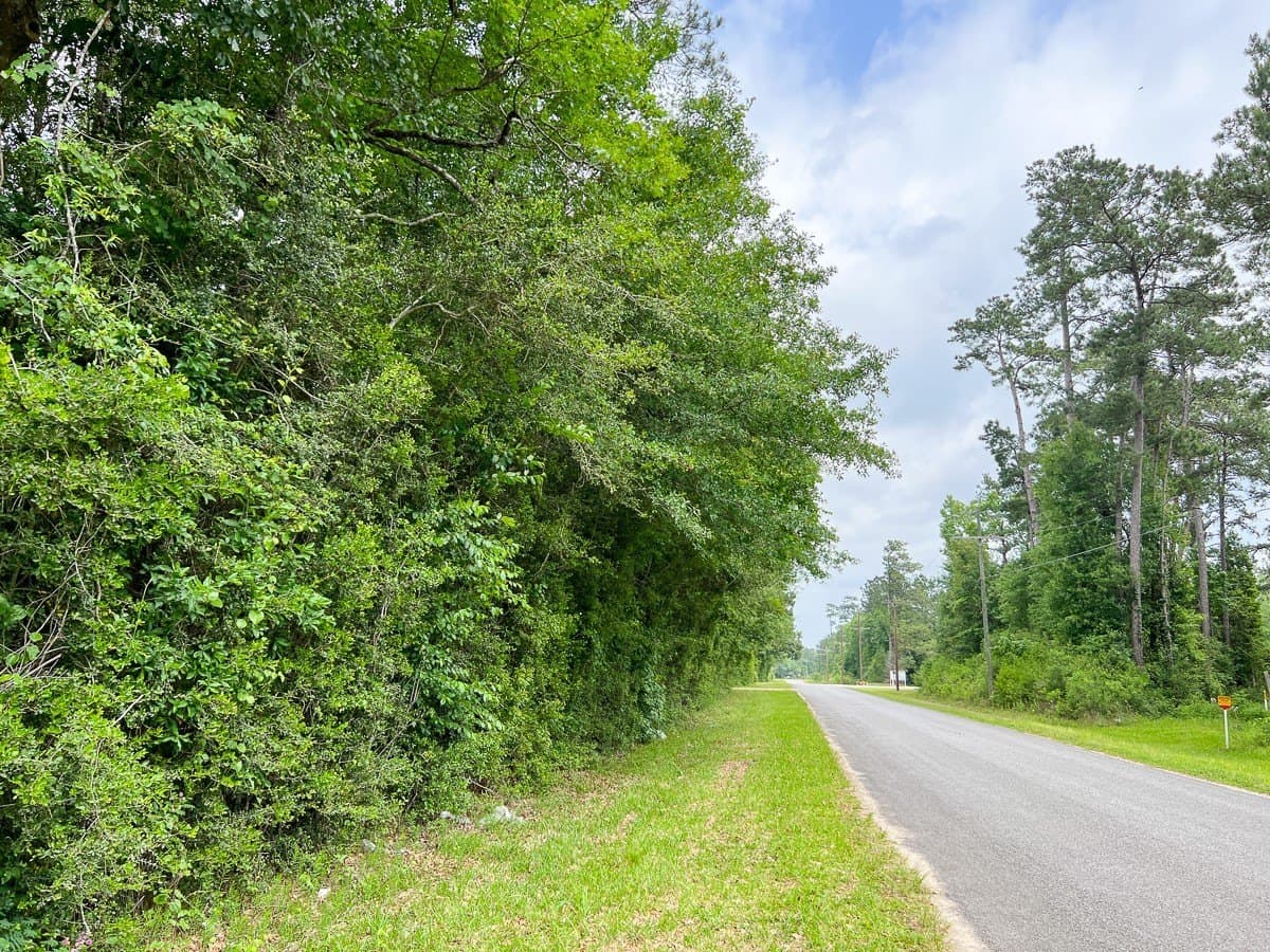 52 acres in Hardin County - photo 3