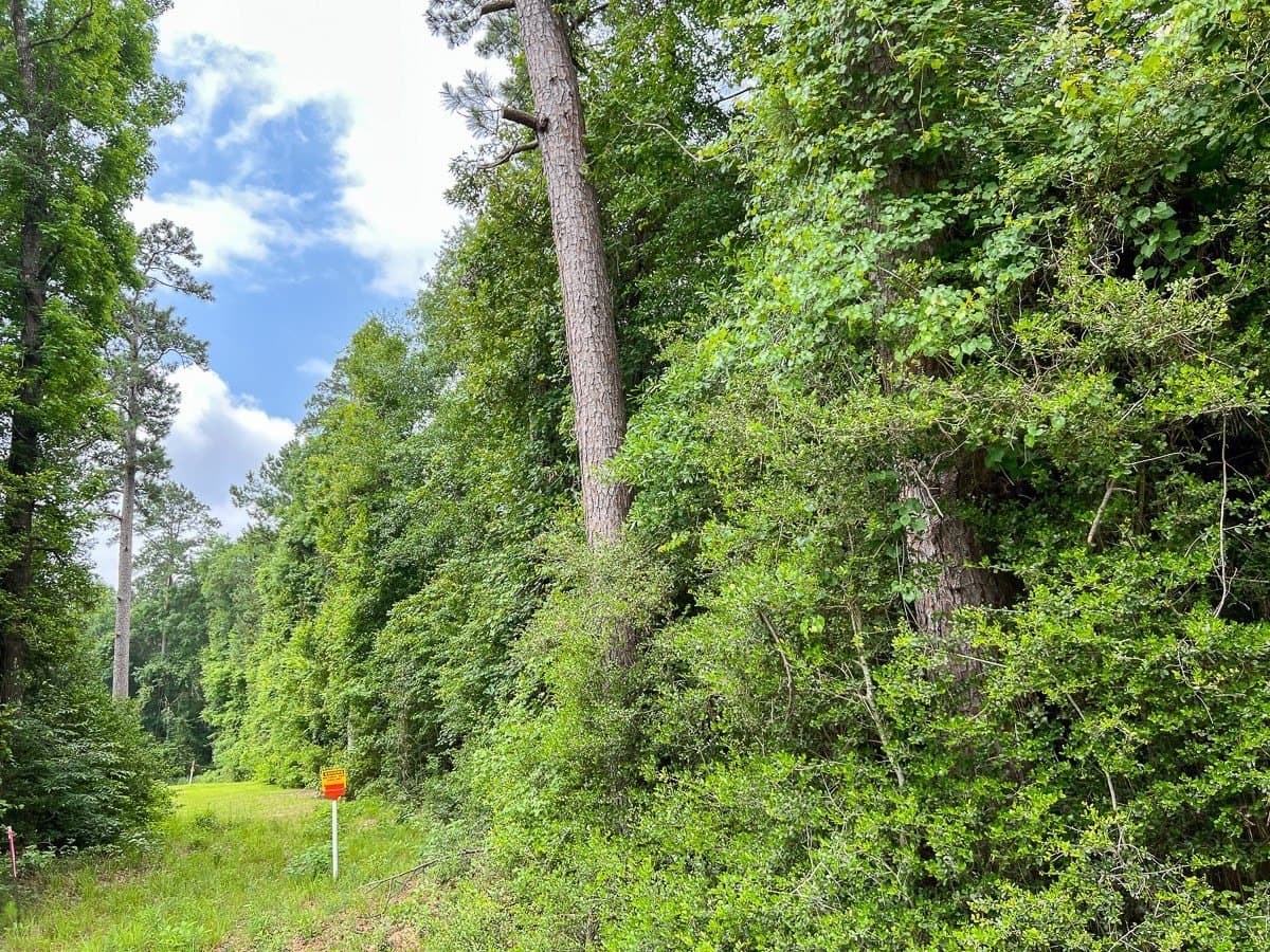52 acres in Hardin County - photo 4