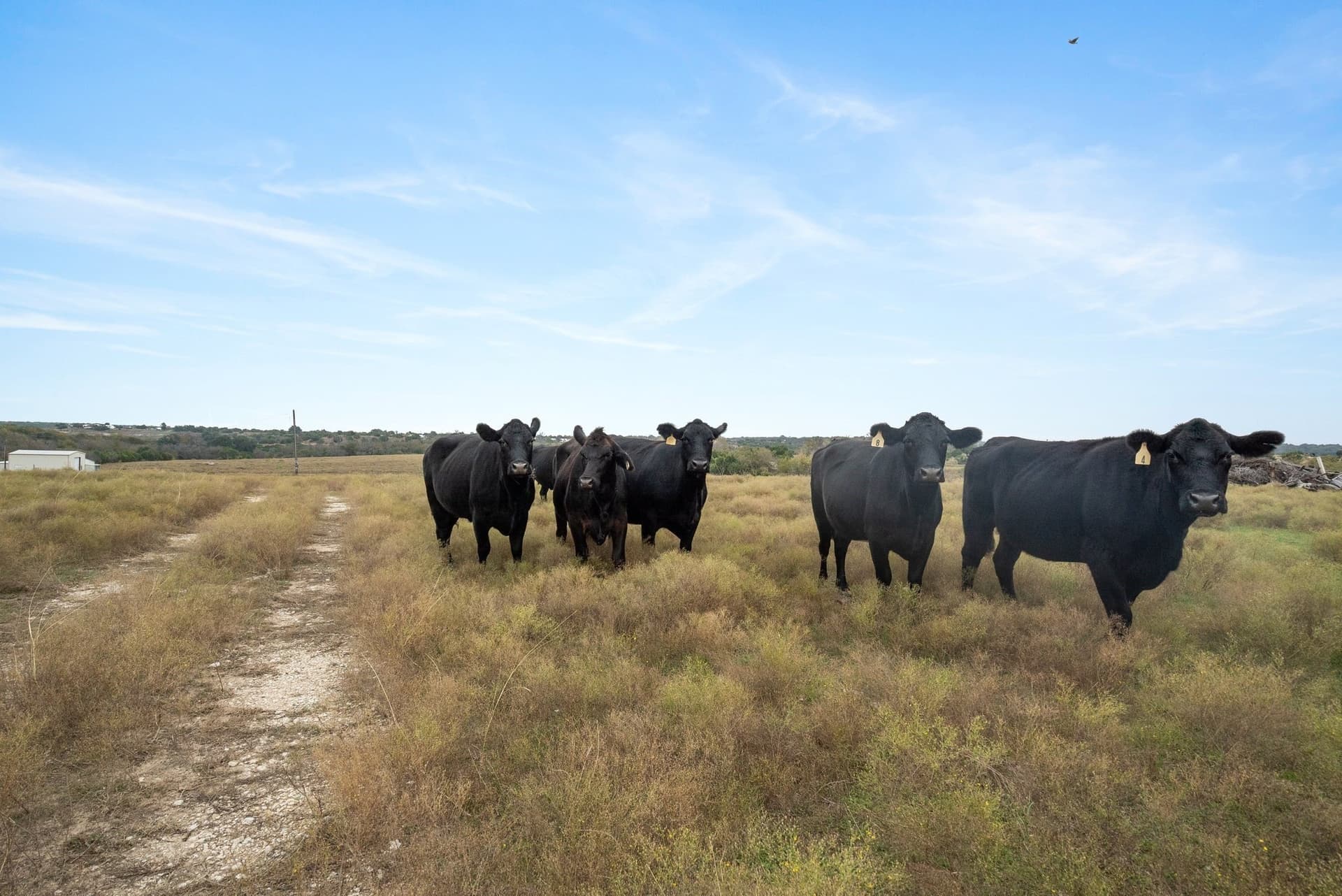 40.05 acres in Hood County