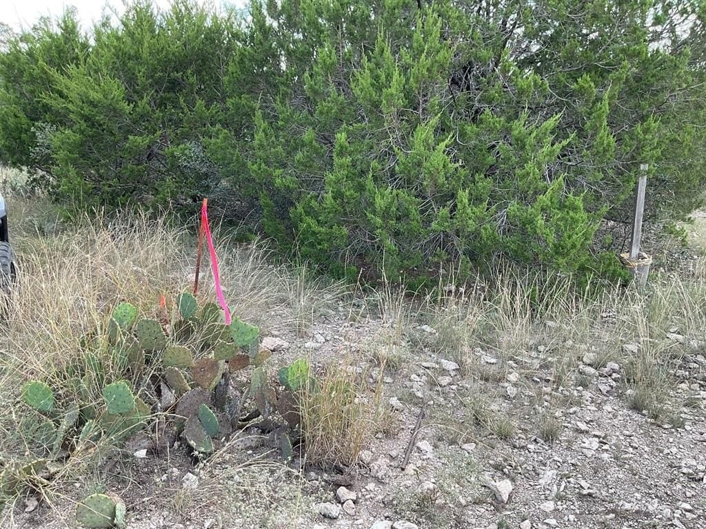 47.28 acres in Menard County - photo 34