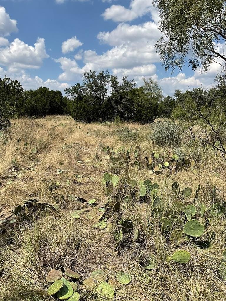 47.28 acres in Menard County - photo 12