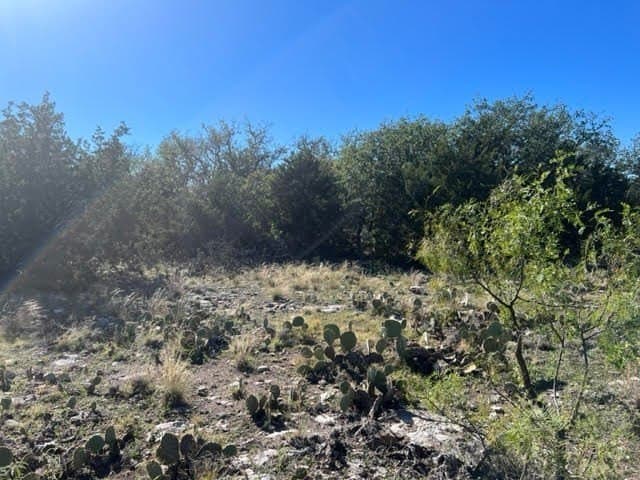 47.28 acres in Menard County - photo 6