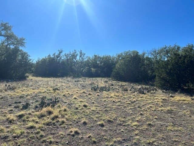 47.28 acres in Menard County - photo 3