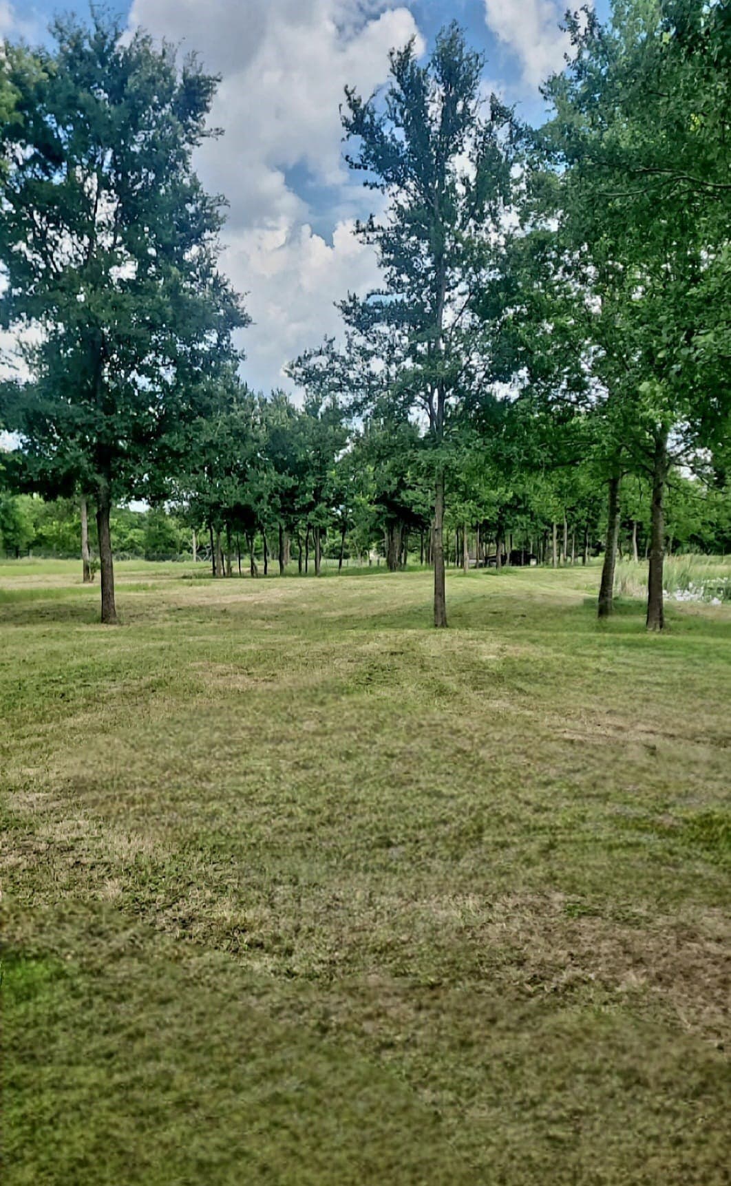 3.25 acres in Navarro County - photo 11