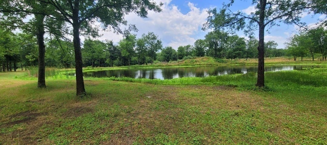 3.25 acres in Navarro County - photo 5