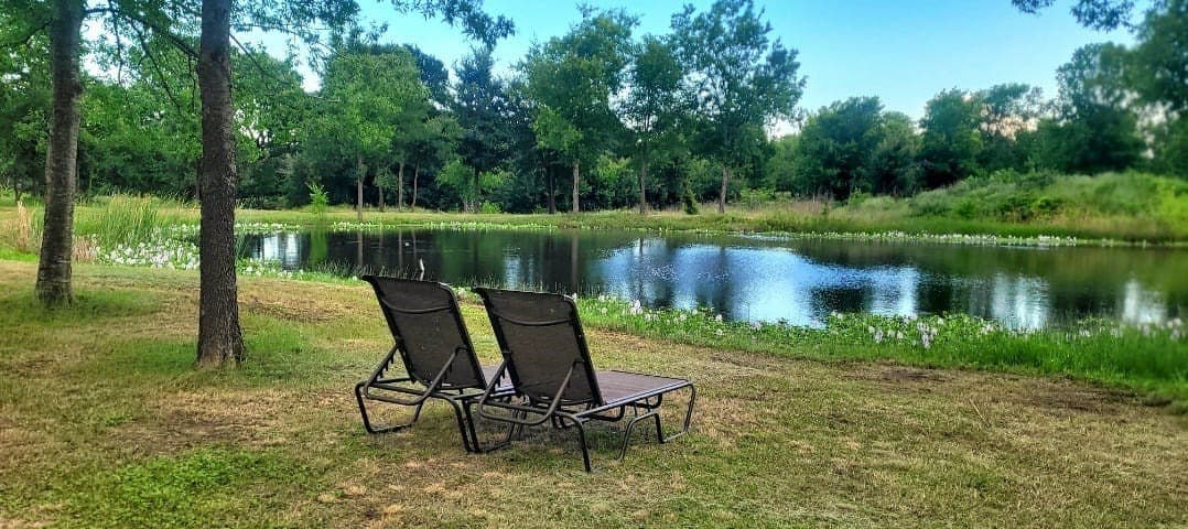 3.25 acres in Navarro County - photo 8