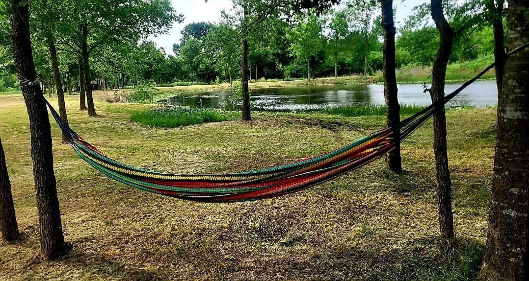 3.25 acres in Navarro County - photo 9