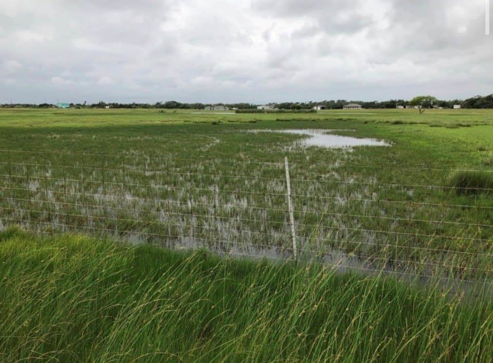 52.42 acres in Texas County - photo 14