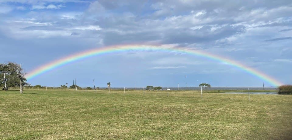 52.42 acres in Texas County featured view