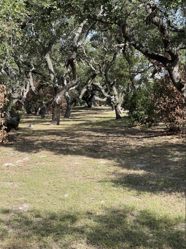 52.42 acres in Texas County - photo 28