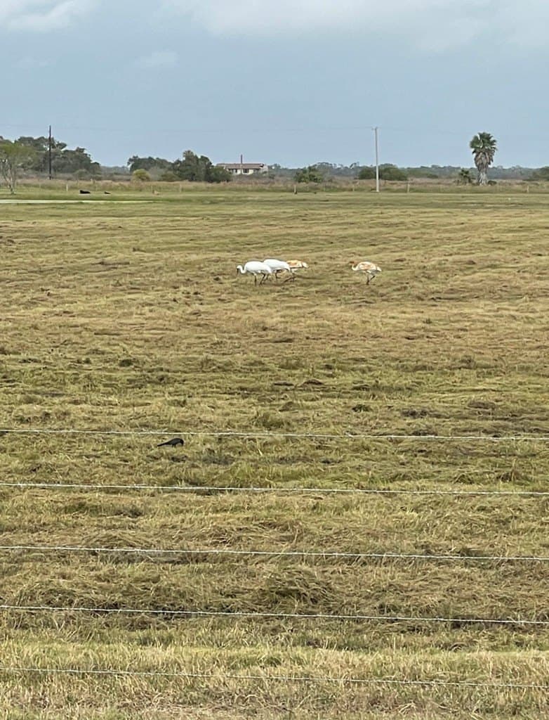 52.42 acres in Texas County - photo 22