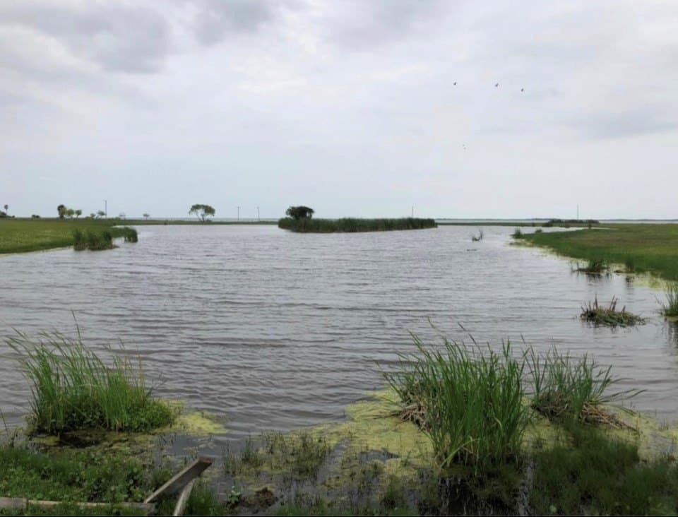 52.42 acres in Texas County - photo 20