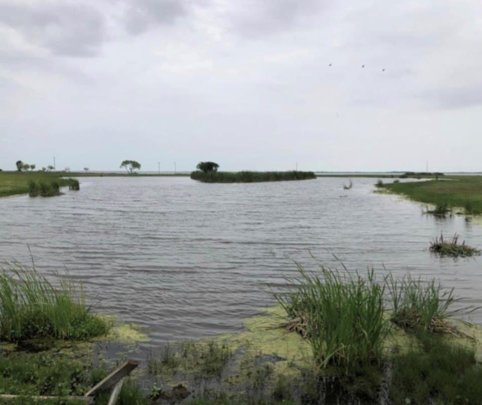 52.42 acres in Texas County - photo 29