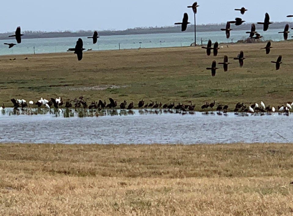 52.42 acres in Texas County - photo 23