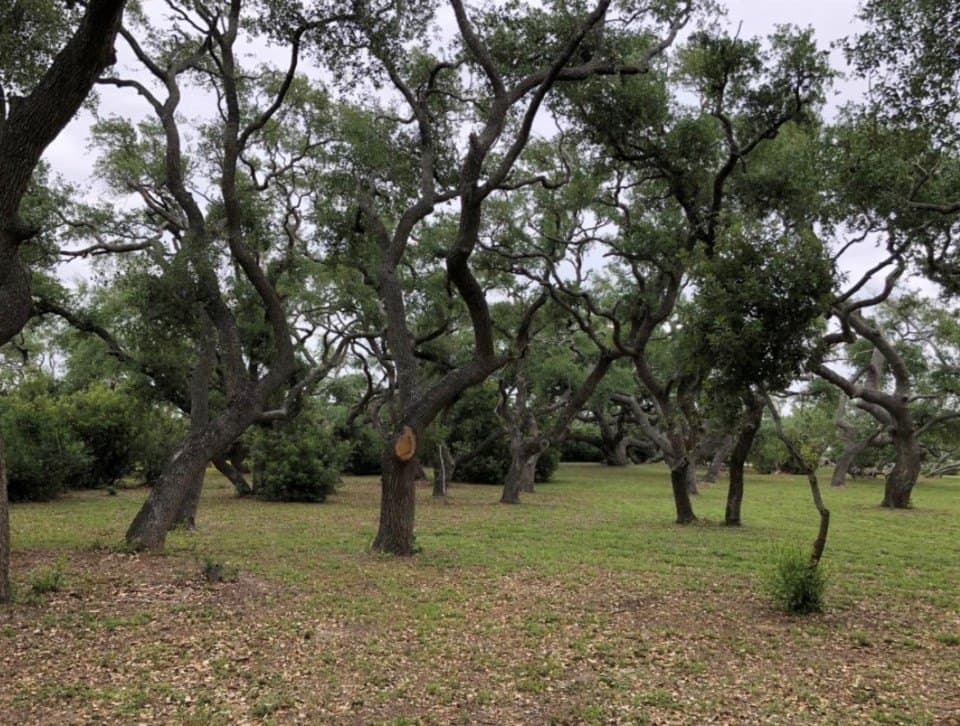 52.42 acres in Texas County - photo 15