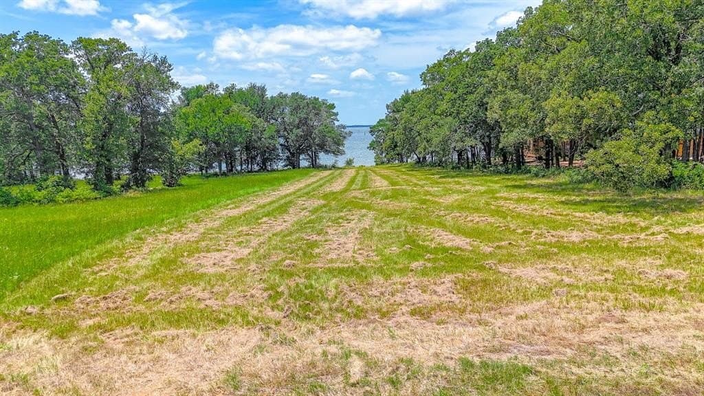 1.01 acres in Navarro County gallery image 4