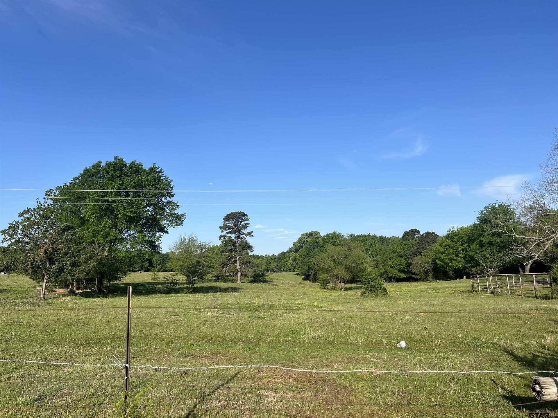 6 acres in Titus County gallery image 3