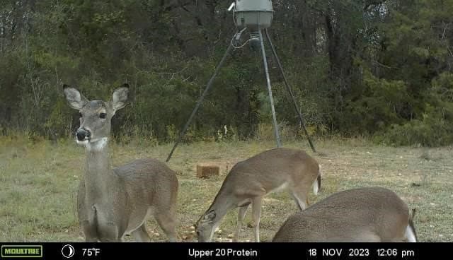 40.04 acres in Erath County - photo 35