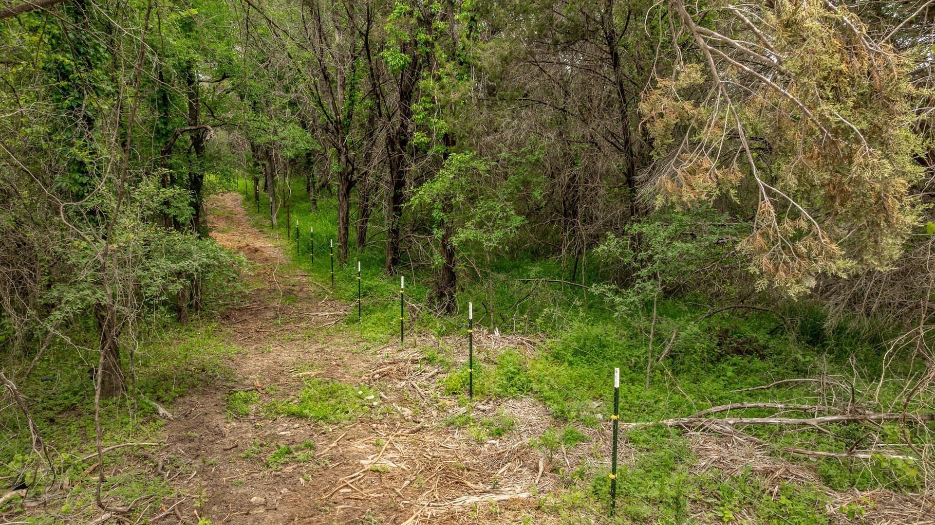 40.04 acres in Erath County - photo 24