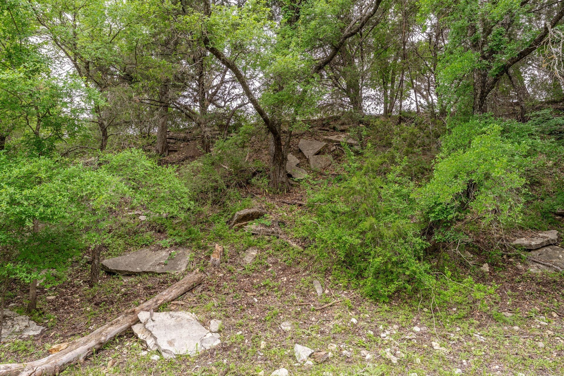 40.04 acres in Erath County - photo 10
