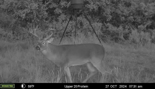 40.04 acres in Erath County - photo 33