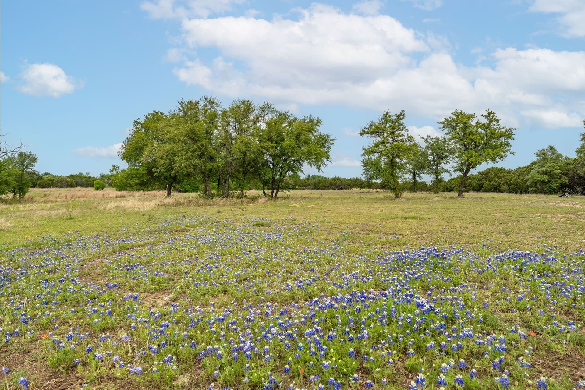40.04 acres in Erath County - photo 7