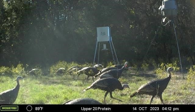 40.04 acres in Erath County - photo 37