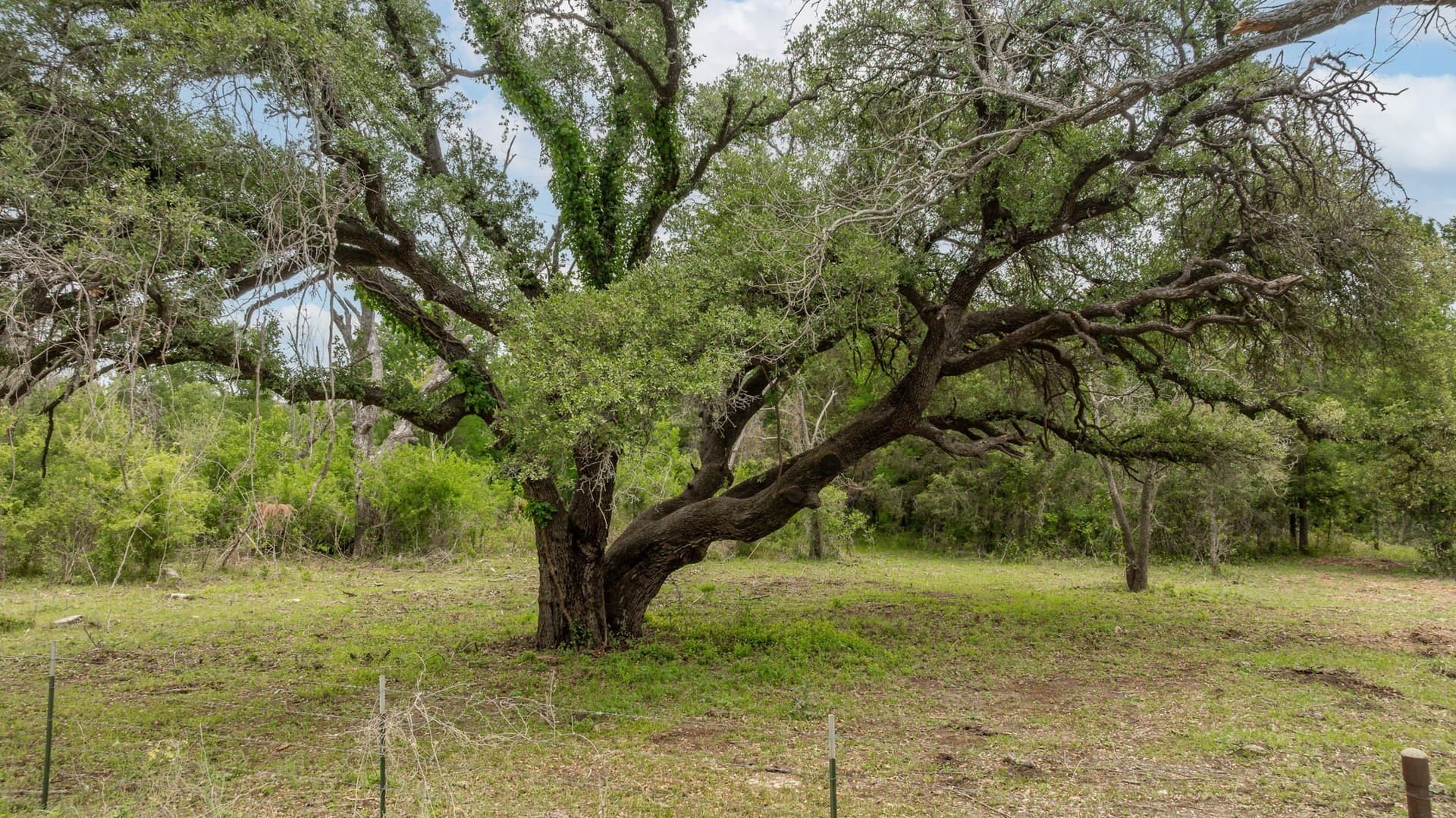 40.04 acres in Erath County - photo 29