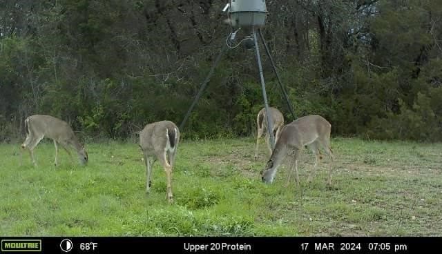 40.04 acres in Erath County - photo 34