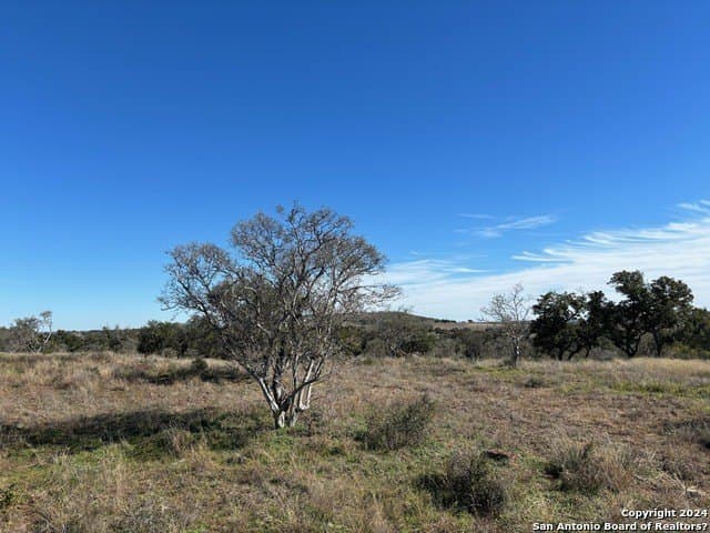 46.06 acres in Mason Co County featured view