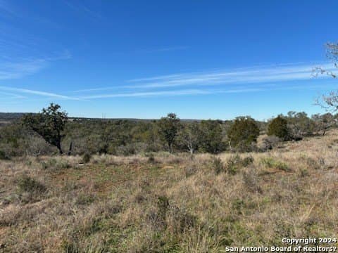 46.06 acres in Mason Co County gallery image 4
