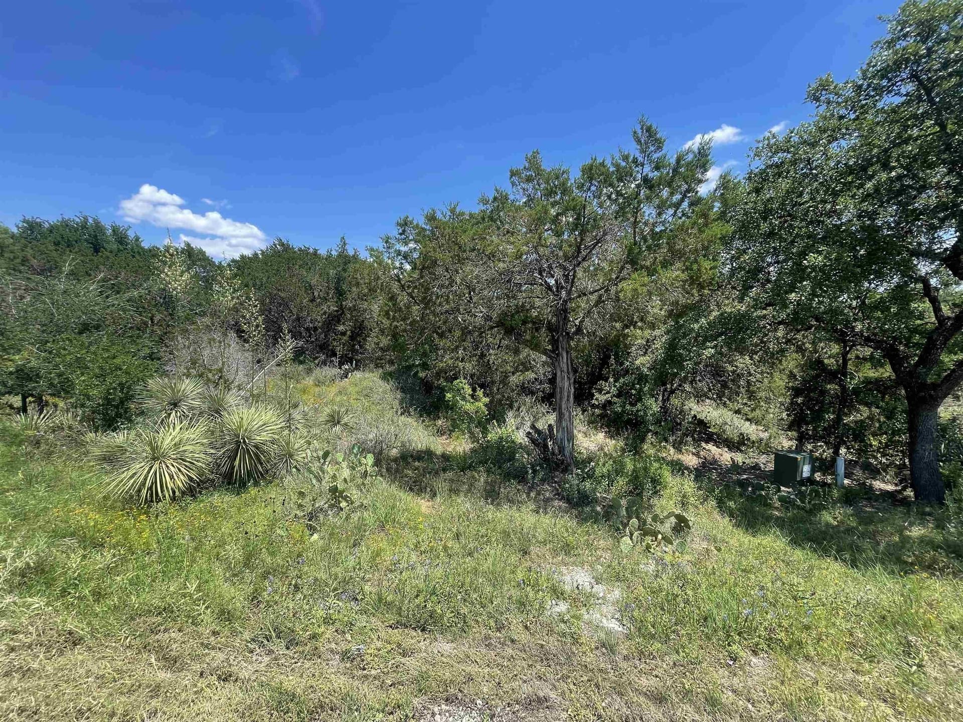 0.32 acres in Llano County gallery image 3