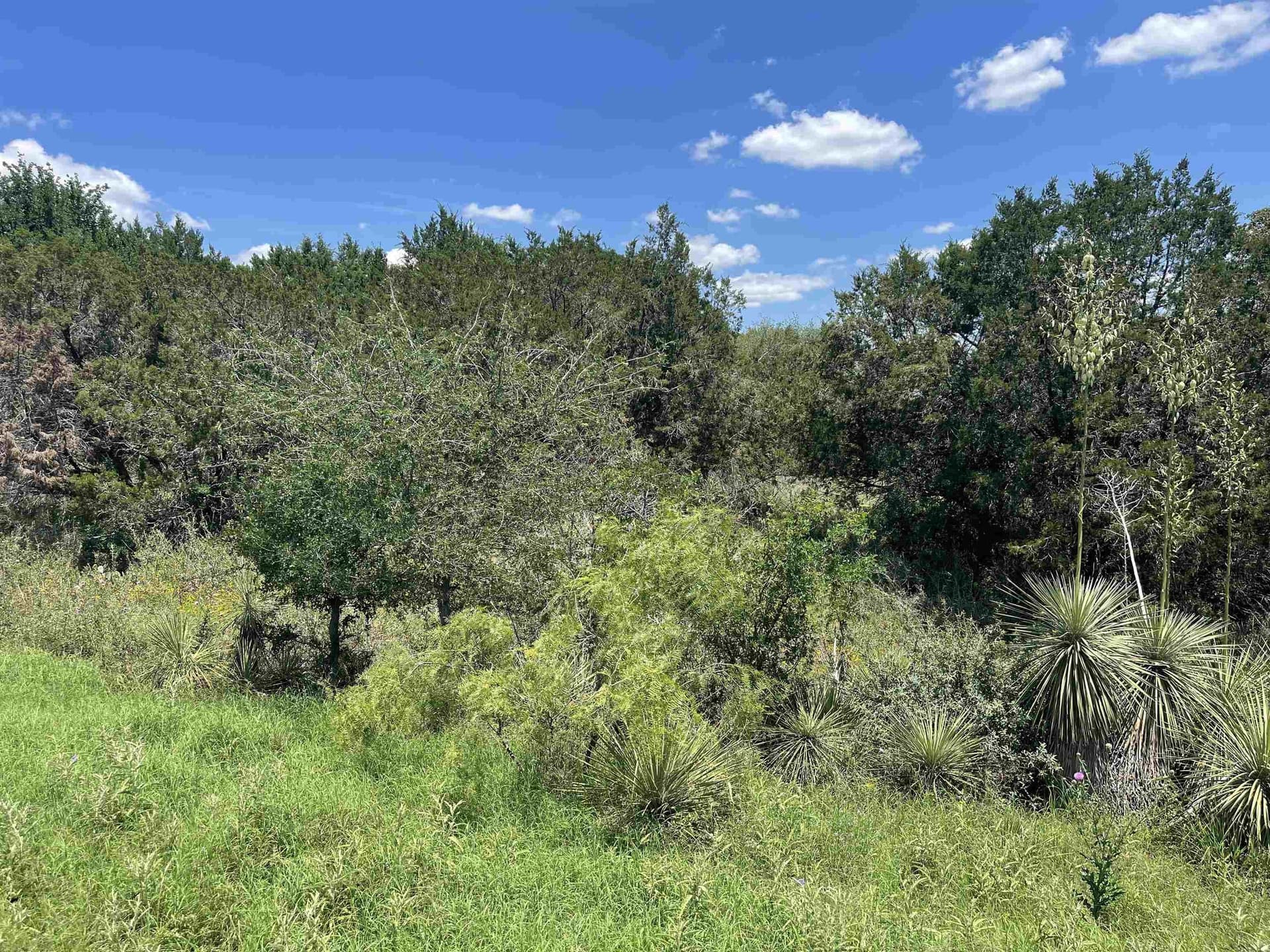 0.32 acres in Llano County gallery image 4