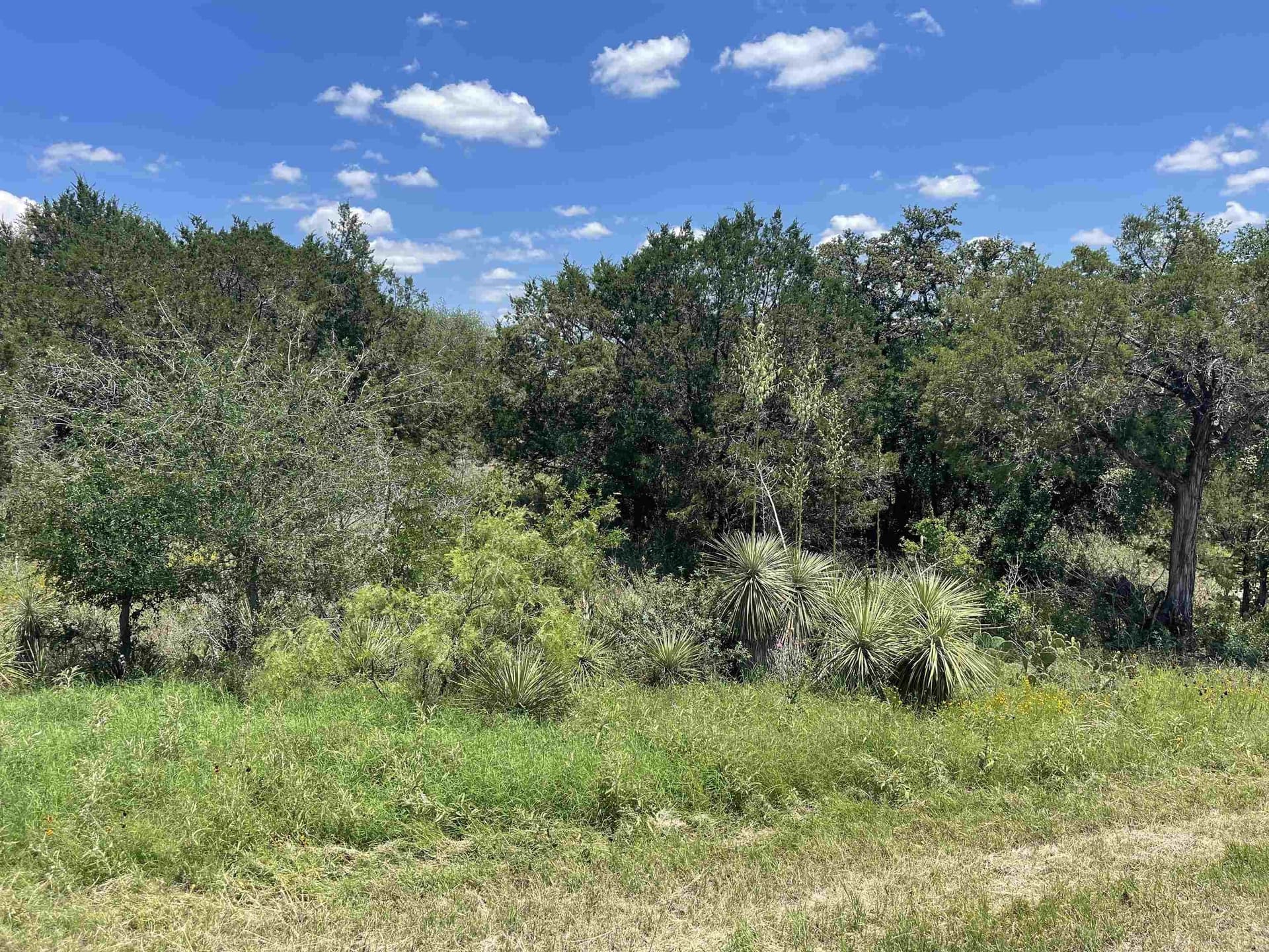 0.32 acres in Llano County featured view