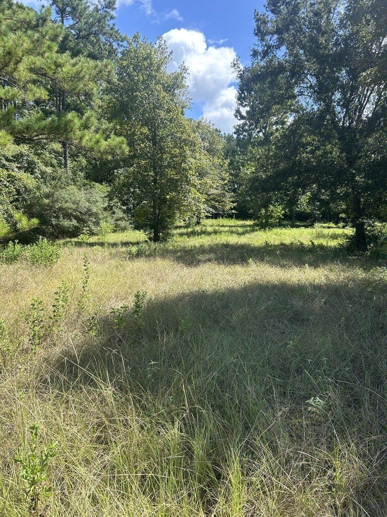 4.48 acres in Texas County - photo 10