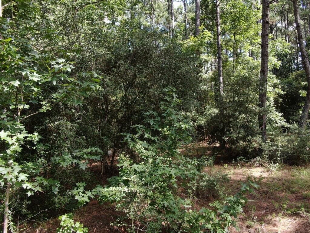 4.48 acres in Texas County - photo 8