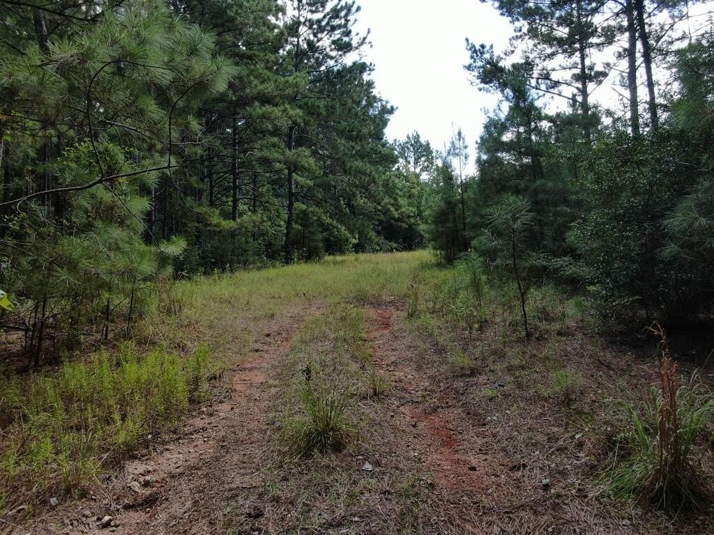 4.48 acres in Texas County - photo 4
