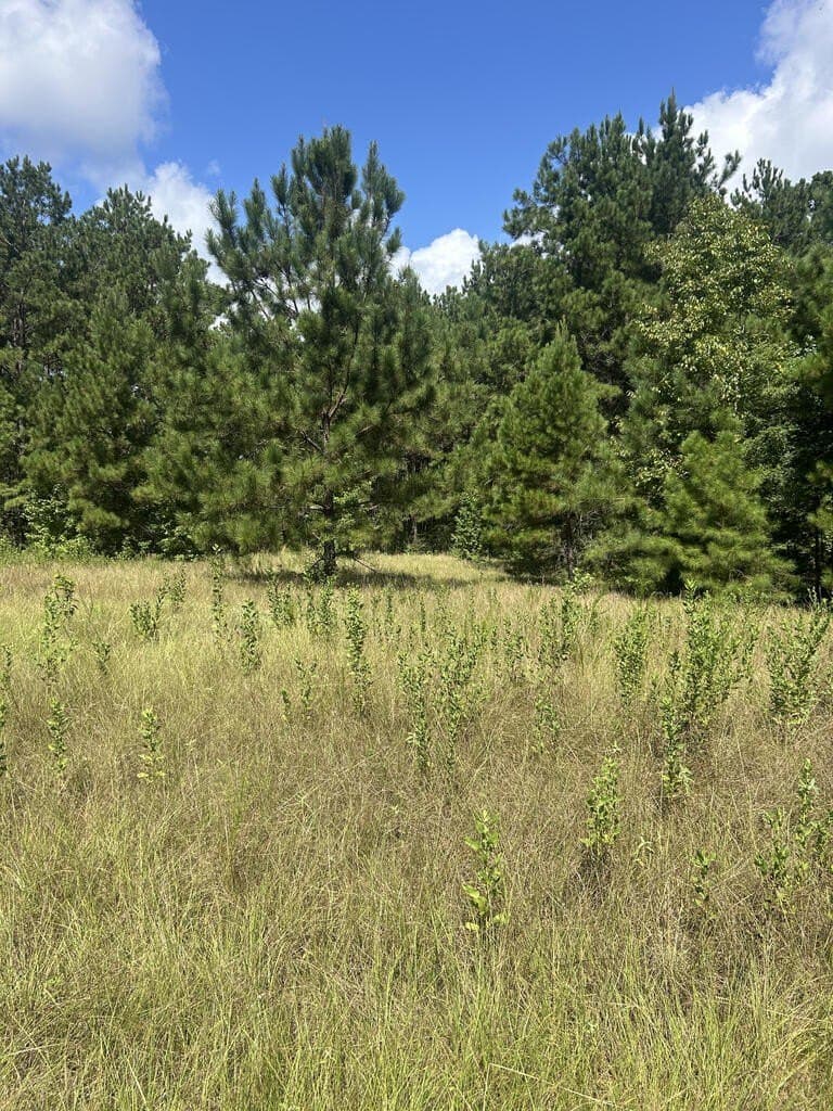 4.48 acres in Texas County - photo 11