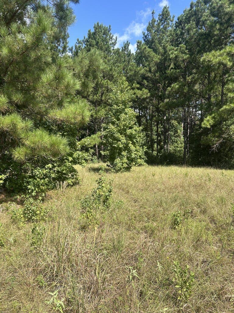 4.48 acres in Texas County - photo 9