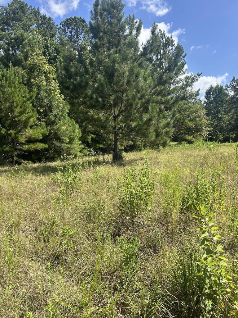 4.48 acres in Texas County - photo 6