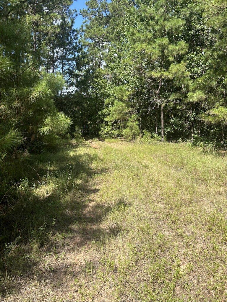 4.48 acres in Texas County - photo 13