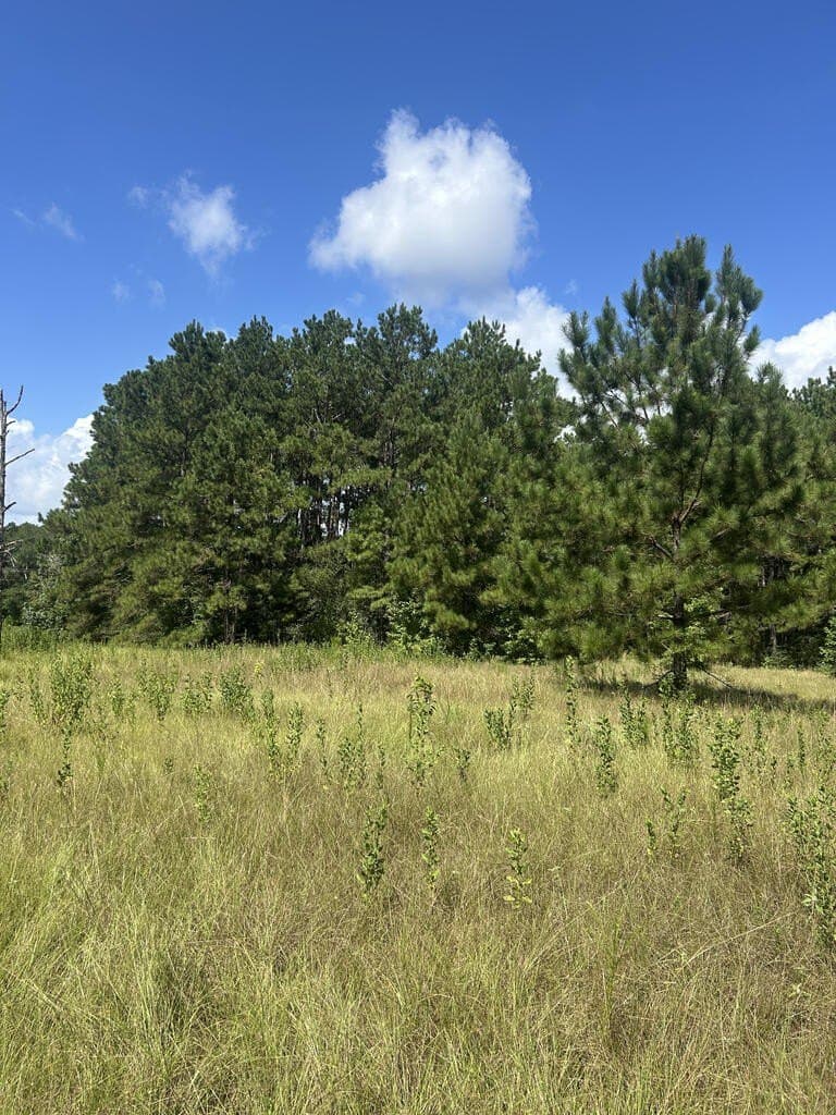 4.48 acres in Texas County - photo 12