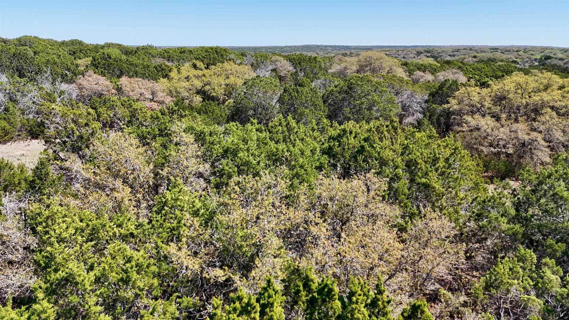 5 acres in San Saba County - photo 12